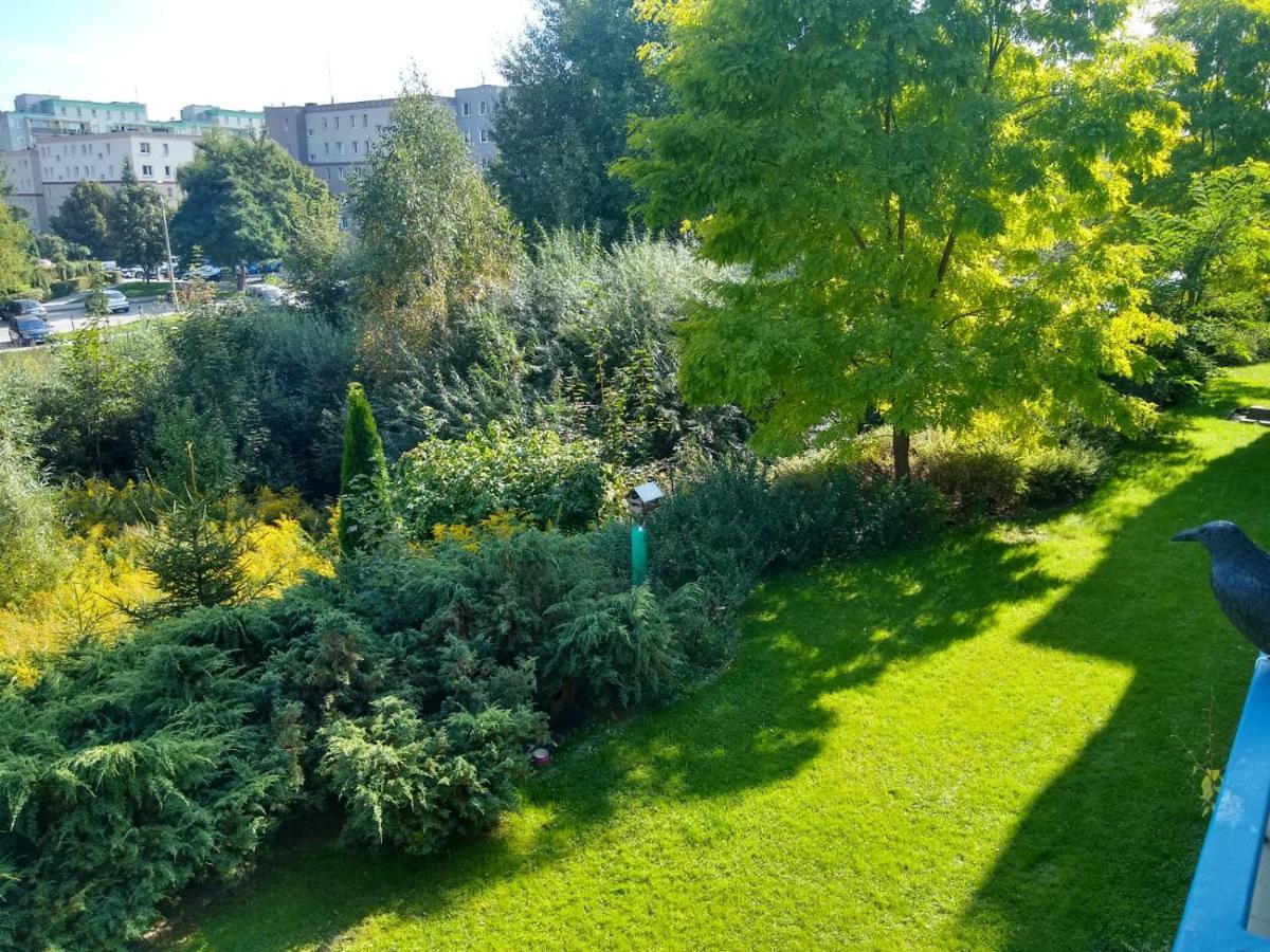 Green Apartment Z Bezplatnym Parkingiem Όλστυν Εξωτερικό φωτογραφία