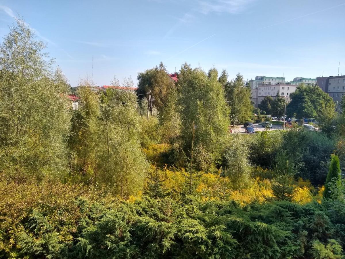 Green Apartment Z Bezplatnym Parkingiem Όλστυν Εξωτερικό φωτογραφία